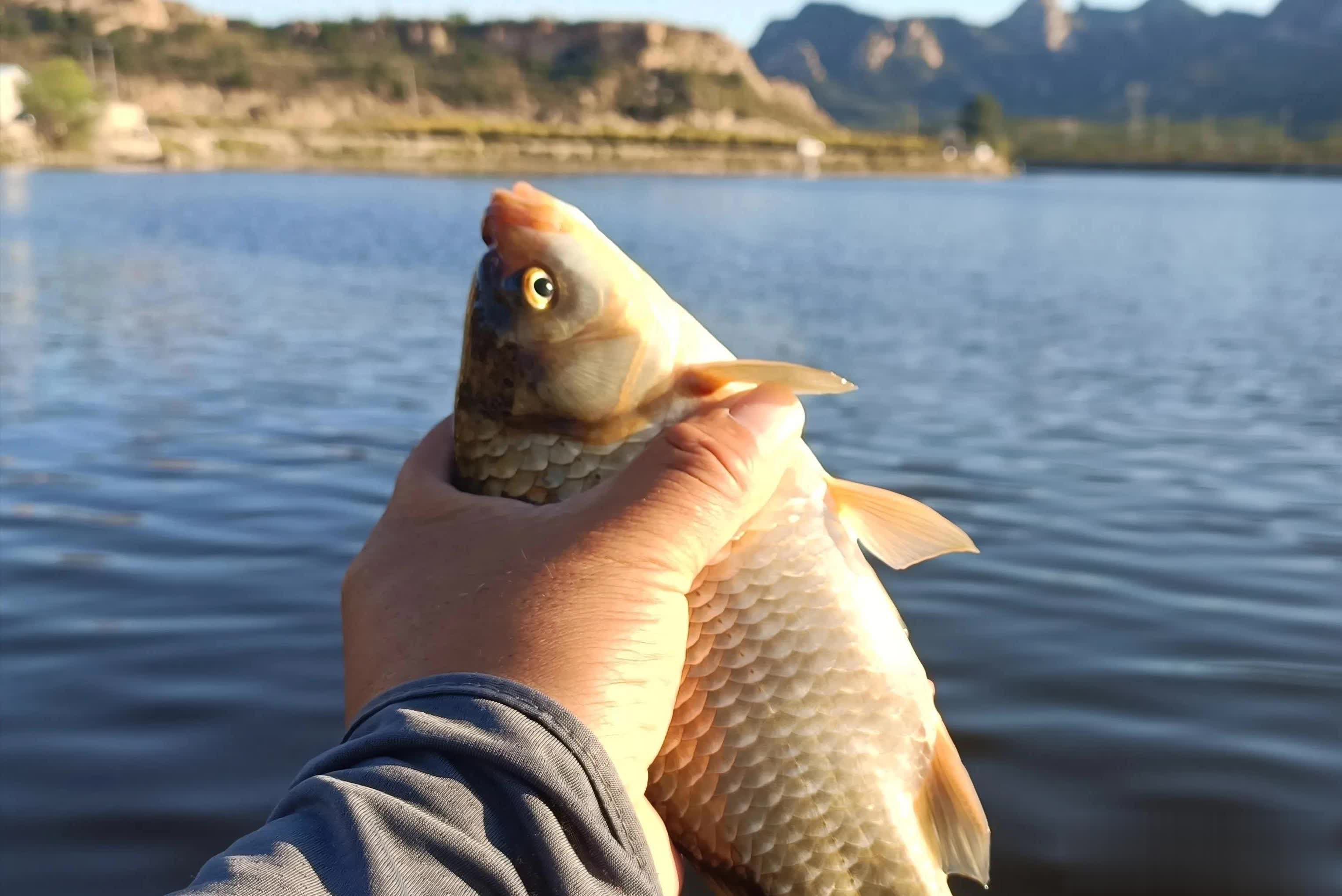 尤其是水广, 入秋后绝对 尤其是水广, 入秋后绝对